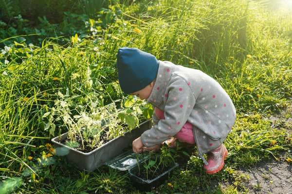 Must-Have Home Accessories for Staying Ahead of the Curve